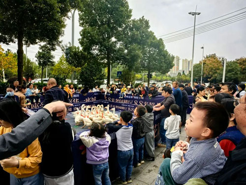 爱琴海湘阴大院套鹅狂欢专场第二季诚意加场