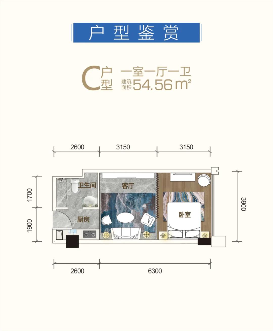 益阳高新活力城C户型