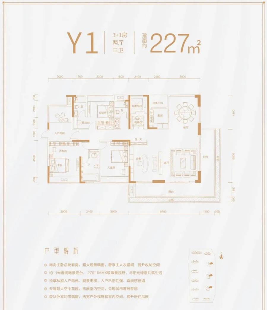 Y1户型