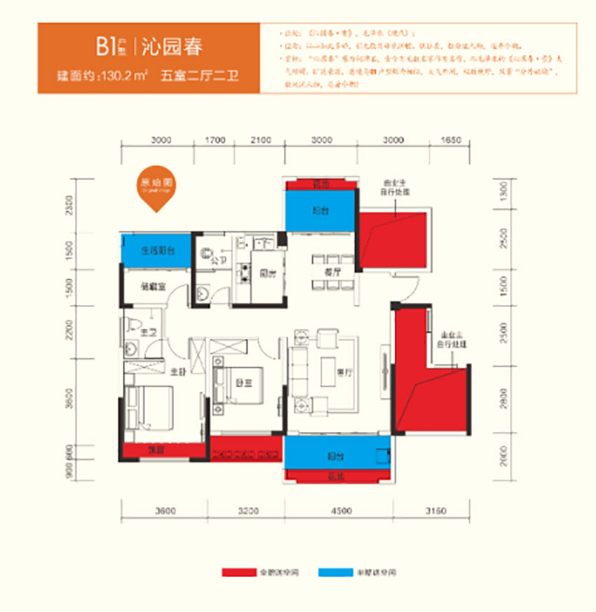 B1户型