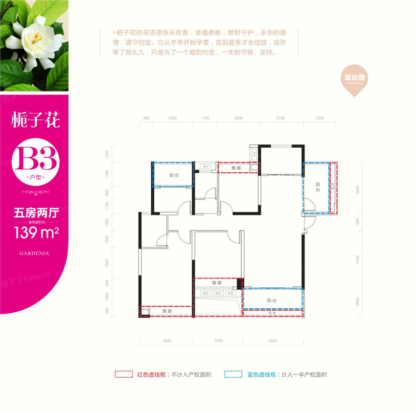 B3户型