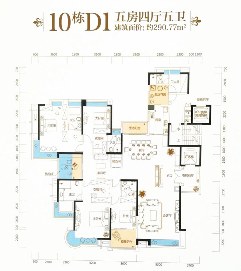 10栋D1户型