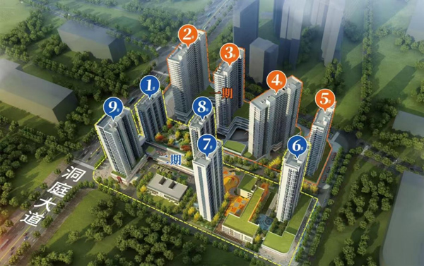 1773799617646698.jpg 11.jpg