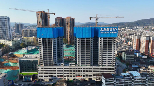 1773801369273368.jpg 11.jpg