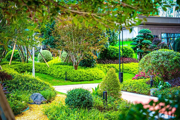 1773801959879112.jpg 11.jpg